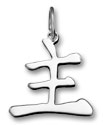 Japanese/Chinese symbol charm for master