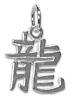 Chinese Zodiac Dragon Symbol Charm